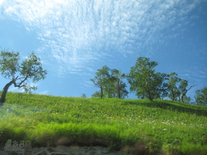 2010长白山西坡天池2010.07.17 267_眸目压缩