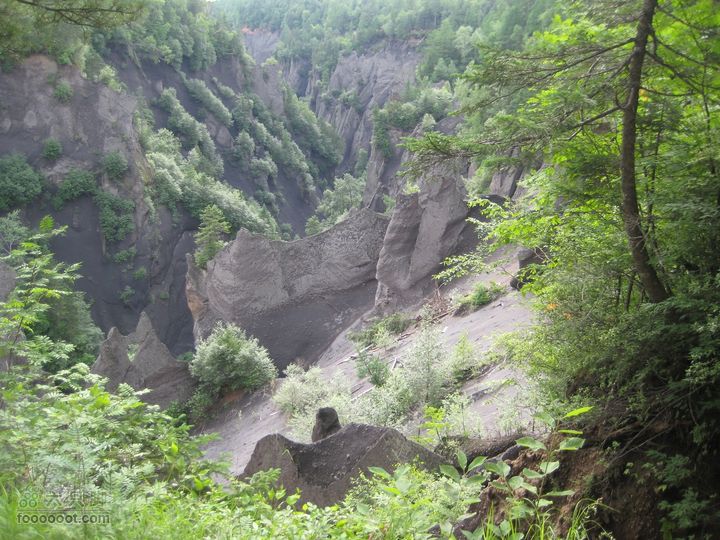 2010长白山西坡天池2010.07.17 298_眸目压缩