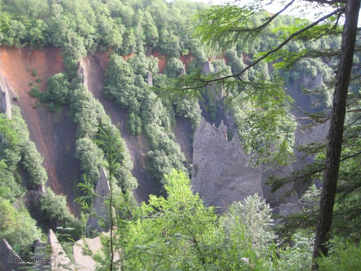 2010长白山西坡天池2010.07.17 318_眸目压缩