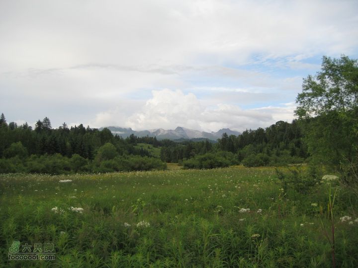 2010长白山西坡天池2010.07.17 334_眸目压缩