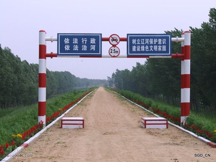 赏新区荷花，观辽河大桥DSCF4235