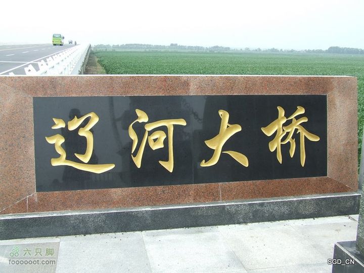 赏新区荷花，观辽河大桥DSCF4246
