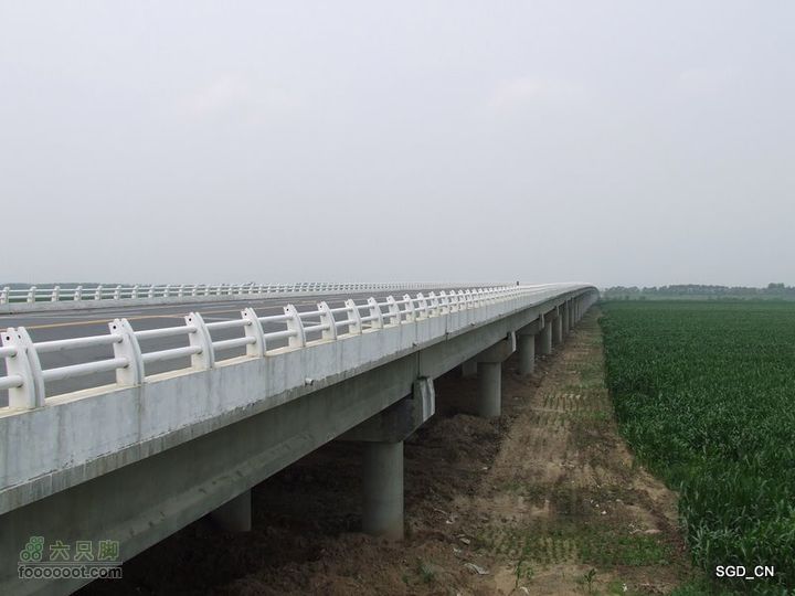 赏新区荷花，观辽河大桥DSCF4248