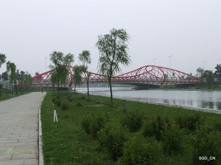 赏新区荷花，观辽河大桥DSCF4294