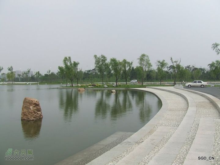 赏新区荷花，观辽河大桥DSCF4309