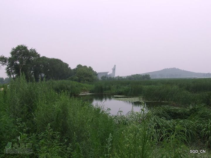 赏新区荷花，观辽河大桥DSCF4312