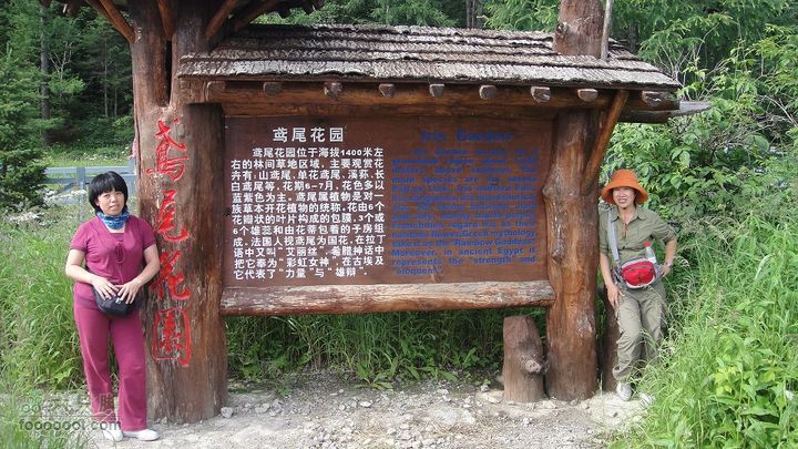 2010长白山西坡天池DSC03528_眸目压缩