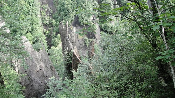 2010长白山西坡天池锦江大峡谷
