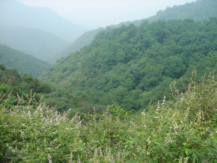 香山经好汉坡直奔周家巷，迷路误入温泉白家幢(勿按此轨迹寻迹)一直在草丛中走，偶尔能露出头，看看外面