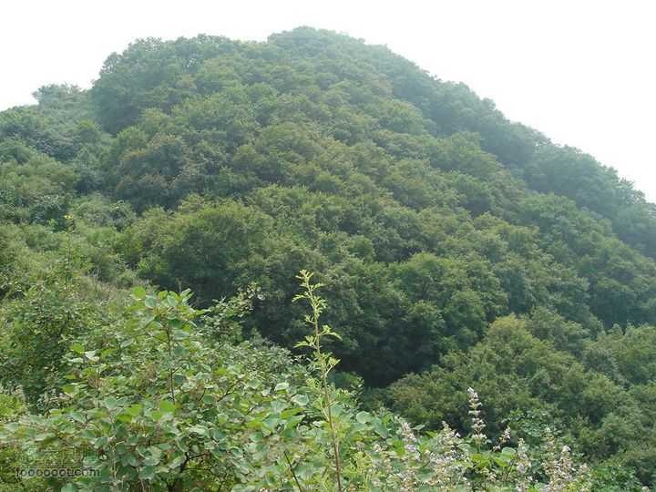 香山经好汉坡直奔周家巷，迷路误入温泉白家幢(勿按此轨迹寻迹)小小五台，要连爬五座小山头，这是第三个
