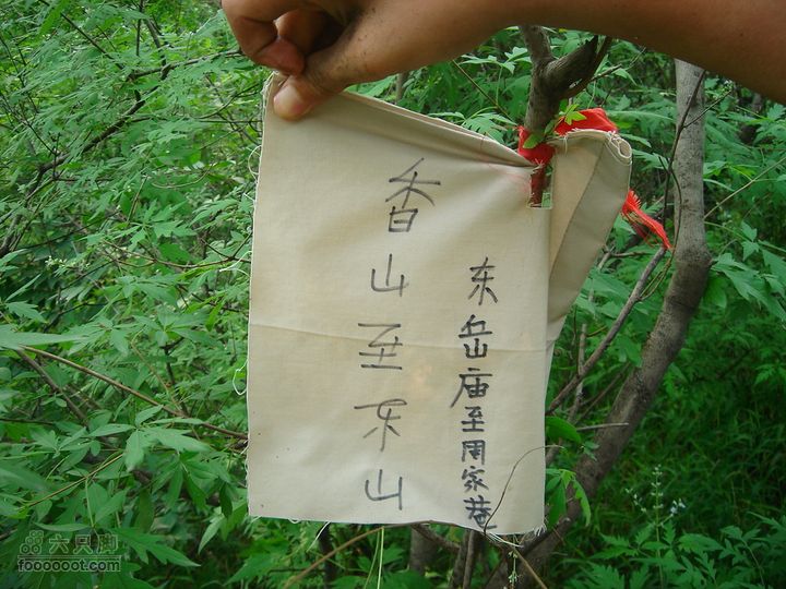 香山经好汉坡直奔周家巷，迷路误入温泉白家幢(勿按此轨迹寻迹)此处，我们迷路了，在这老林里，走了一天就碰见两个驴友，迷路很恐怖