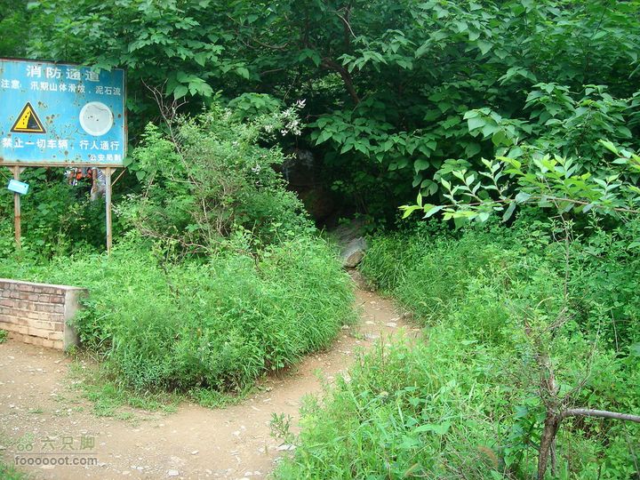 香山经好汉坡直奔周家巷，迷路误入温泉白家幢(勿按此轨迹寻迹)柏油了走不了多远，就进入密林中，此处是入口