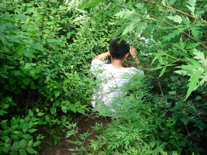 香山经好汉坡直奔周家巷，迷路误入温泉白家幢(勿按此轨迹寻迹)摔了一跤，不想走了