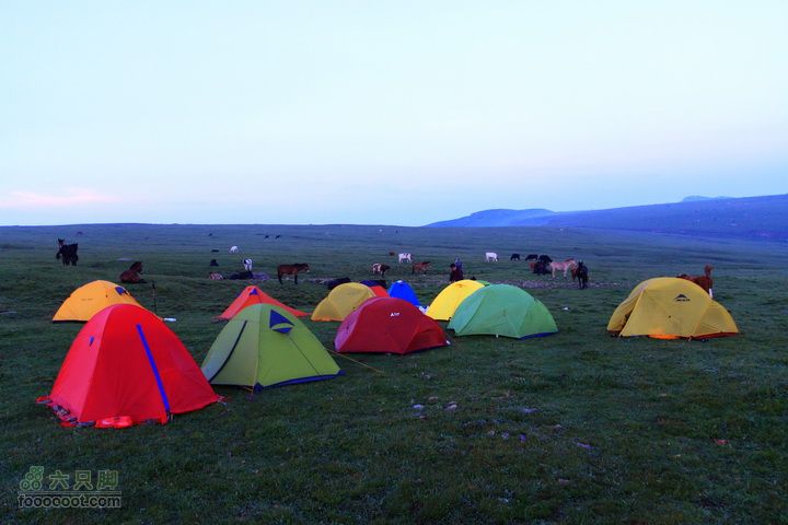卸甲沟-草坨-东甸子梁-南骆驼庵 探路穿越清晨起来，牛群和马匹包围了我们的营地
