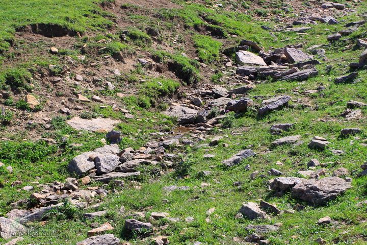 卸甲沟-草坨-东甸子梁-南骆驼庵 探路穿越泉眼，拍照打点