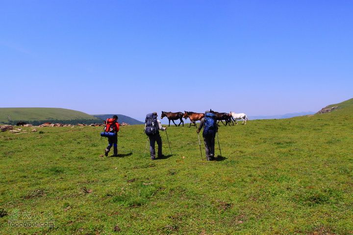 卸甲沟-草坨-东甸子梁-南骆驼庵 探路穿越三头强驴