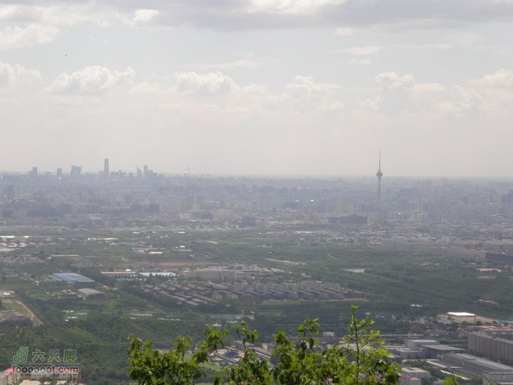 采野果之旅-法海寺到香山挂甲塔徒步穿越P5300429