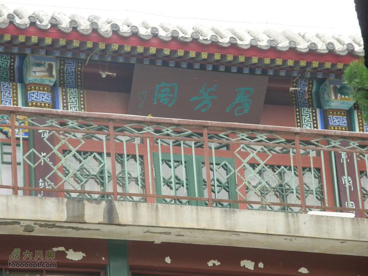 植物园拍鸽子蜜蜂野生动物迷彩树探索之旅草书真难认呀。