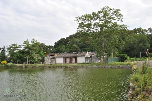 澄海冠山DSC_0123