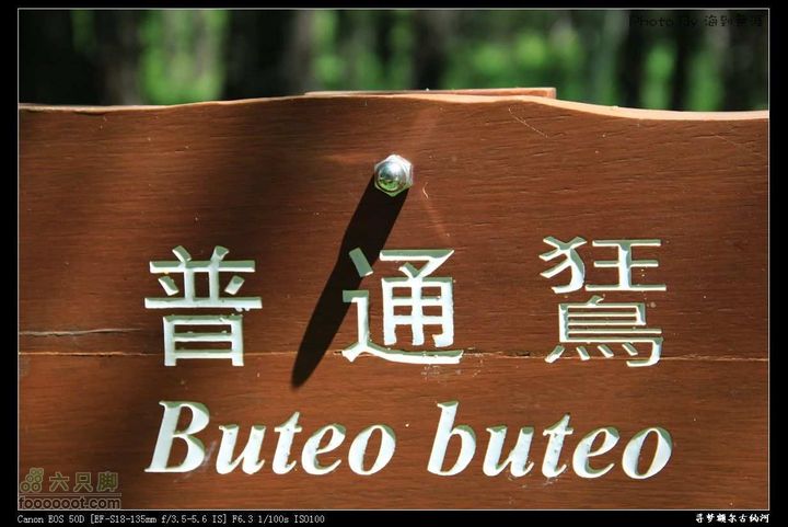 一路向北，寻找梦中的额尔古纳河~~~nEO_IMG_IMG_3269_眸目压缩 (22)