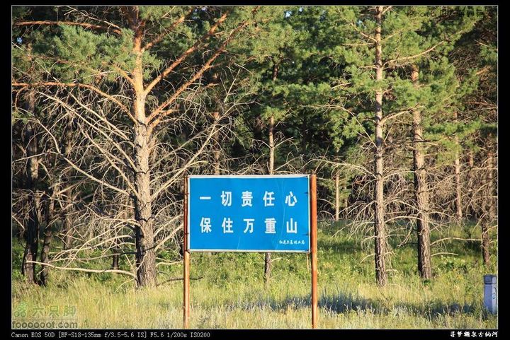 一路向北，寻找梦中的额尔古纳河~~~nEO_IMG_IMG_3906_眸目压缩(1)