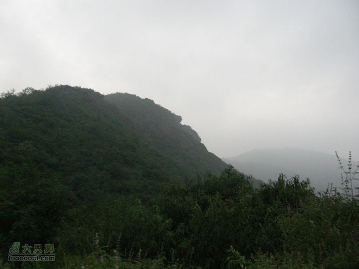 虎头峰、翠微顶、八大处夜爬P8113238