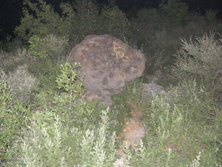 虎头峰、翠微顶、八大处夜爬P8113242