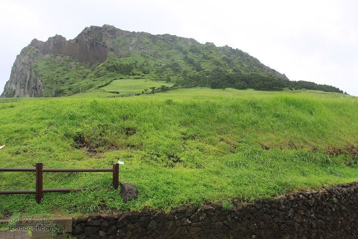 20100810济州岛第2日翠绿翠绿的山