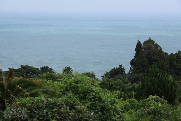 20100810济州岛第3天IMG_1556_眸目压缩