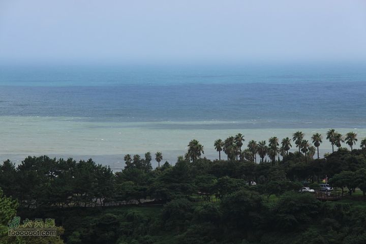 20100810济州岛第3天IMG_1662_眸目压缩