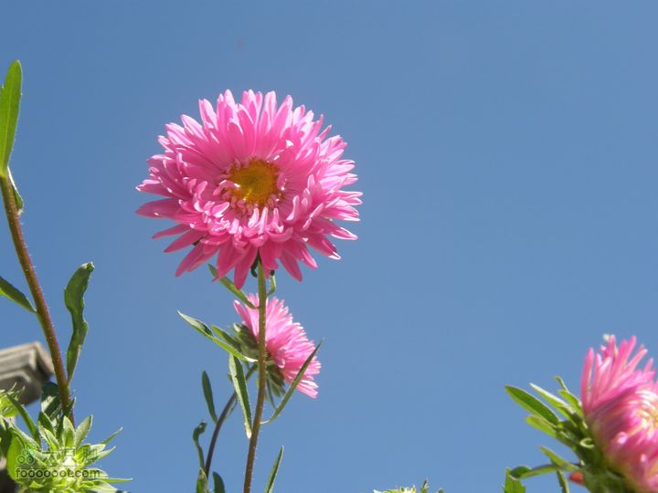 韭园、马致远故居、小狗之家、圈门徒步穿越P8153273