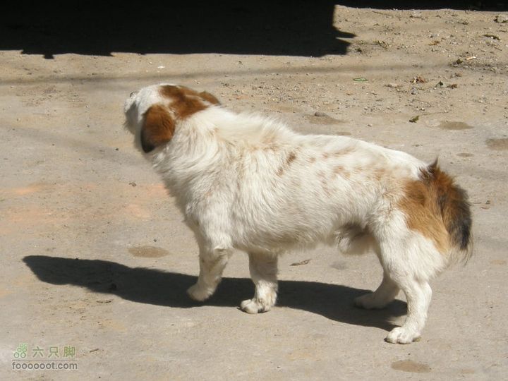 韭园、马致远故居、小狗之家、圈门徒步穿越P8153279