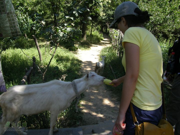 韭园、马致远故居、小狗之家、圈门徒步穿越P8153375