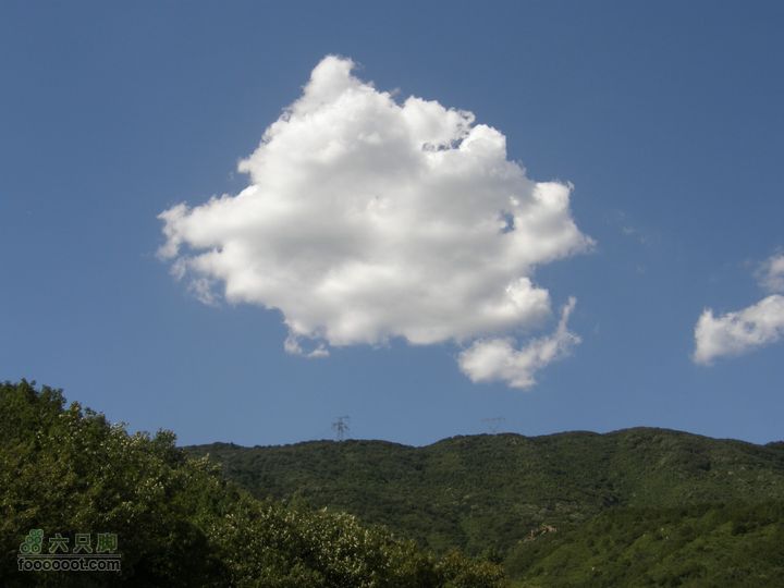 韭园、马致远故居、小狗之家、圈门徒步穿越P8153412