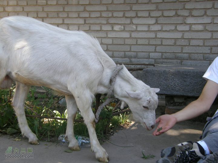 韭园、马致远故居、小狗之家、圈门徒步穿越P8153320