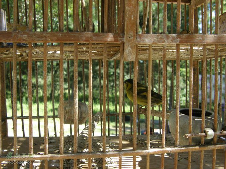 韭园、马致远故居、小狗之家、圈门徒步穿越P8153325