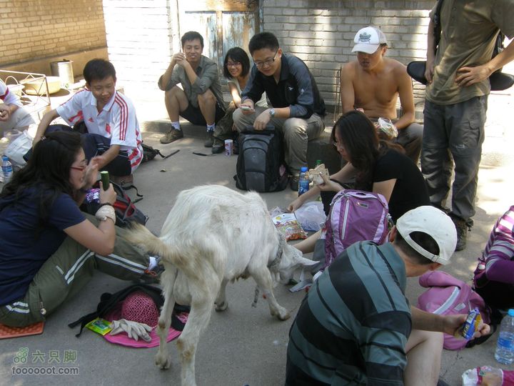 韭园、马致远故居、小狗之家、圈门徒步穿越P8153326