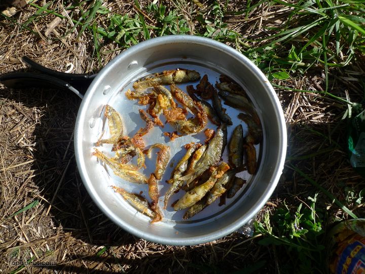 龙聚山庄-三岔河-库尾扎营GPS轨迹裹鸡蛋炸好的鱼，味道很香