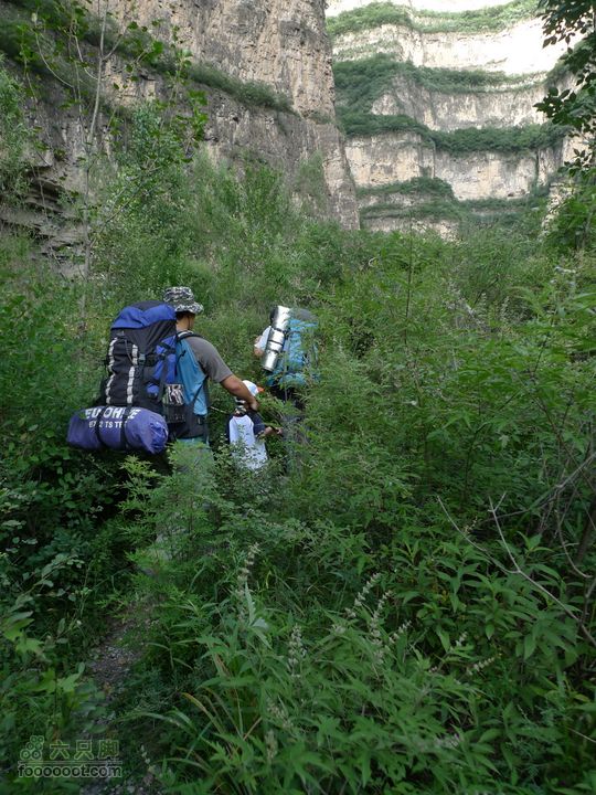 龙聚山庄-三岔河-库尾扎营GPS轨迹有些地方植物很茂密
