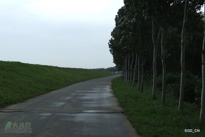 七星山_石佛寺_老人头DSCF48721