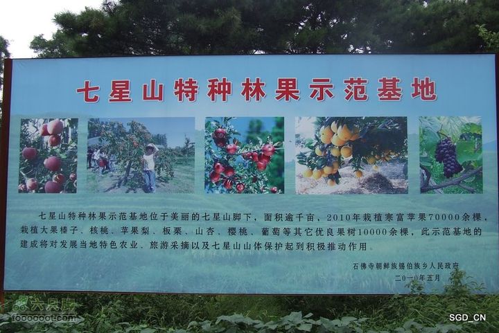 七星山_石佛寺_老人头DSCF48726