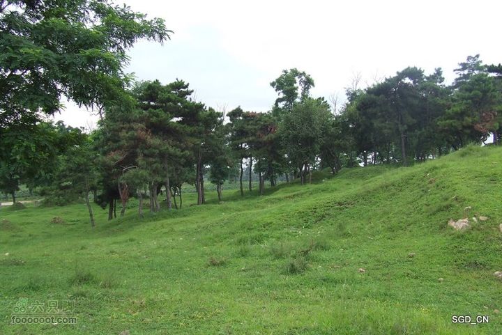 七星山_石佛寺_老人头DSCF48729