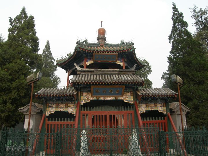 长椿寺、报国寺、天宁寺、法源寺游--寻找逝去的宣南文化P8173496