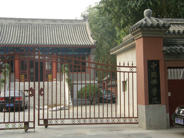 长椿寺、报国寺、天宁寺、法源寺游--寻找逝去的宣南文化P8173535
