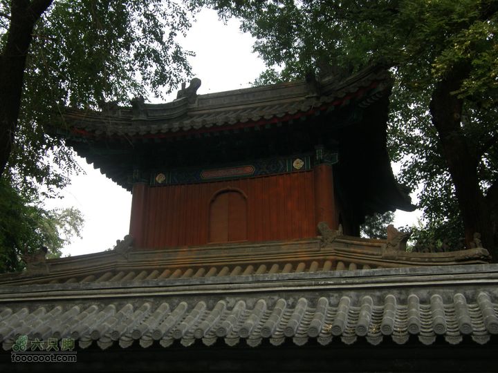长椿寺、报国寺、天宁寺、法源寺游--寻找逝去的宣南文化P8173540