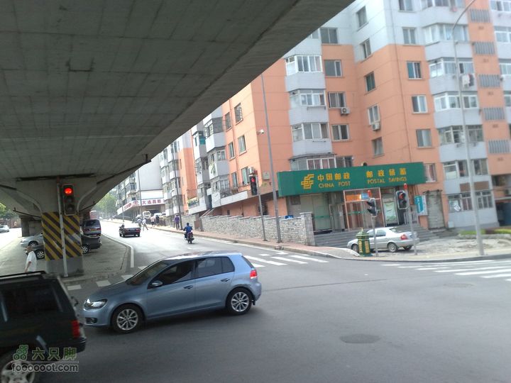 大连滨海西路-森林动物园观光20100821095
