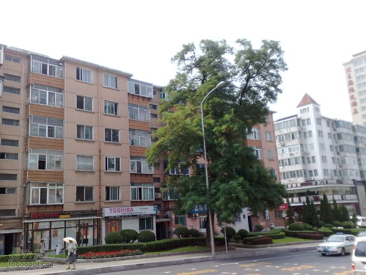 大连滨海西路-森林动物园观光20100821096