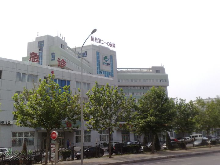 大连滨海西路-森林动物园观光20100821100