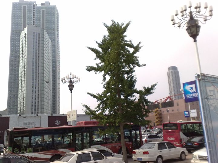 大连滨海西路-森林动物园观光20100821118