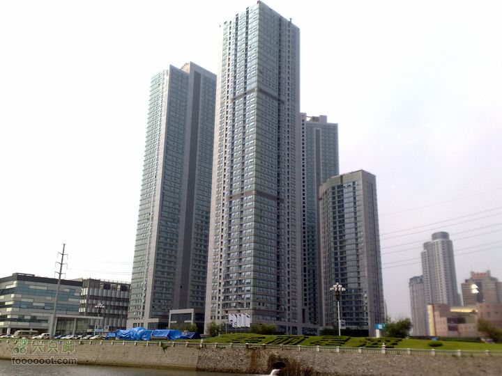 大连滨海西路-森林动物园观光20100821134